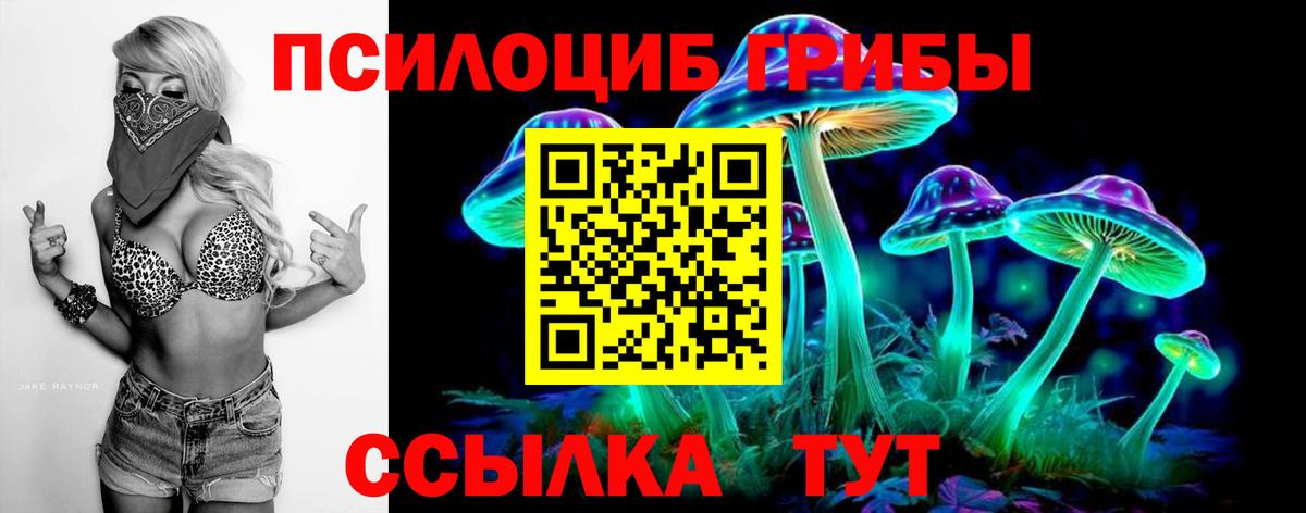 Рубцовск  Псилоцибиновые грибы MAGIC MUSHROOMS  Вход с VPN 