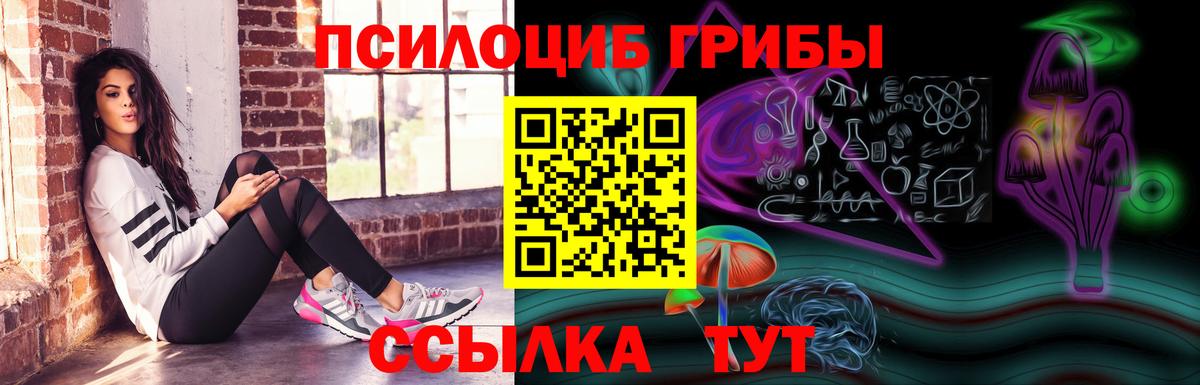 Галлюциногенные грибы Magic Shrooms Рубцовск